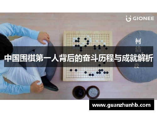 中国围棋第一人背后的奋斗历程与成就解析