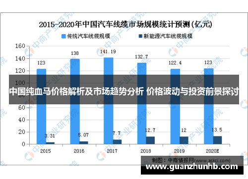 中国纯血马价格解析及市场趋势分析 价格波动与投资前景探讨